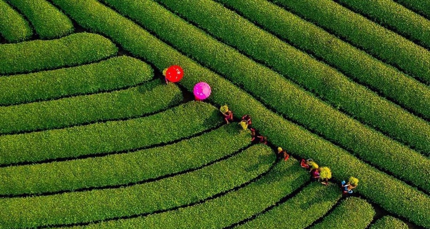 Cảnh sắc hữu tình 3 miền Việt Nam 5
