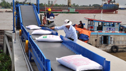 Nóng: Thủ tướng quyết định xuất khẩu gạo trở lại bình thường từ 1/5
