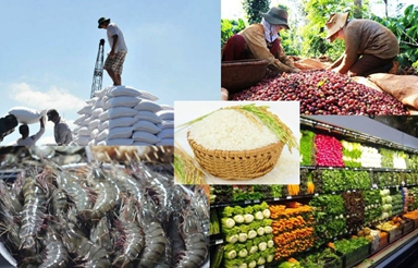 Nông nghiệp Việt Nam 2025: Bản lĩnh vượt khó và Khát vọng Hóa xanh