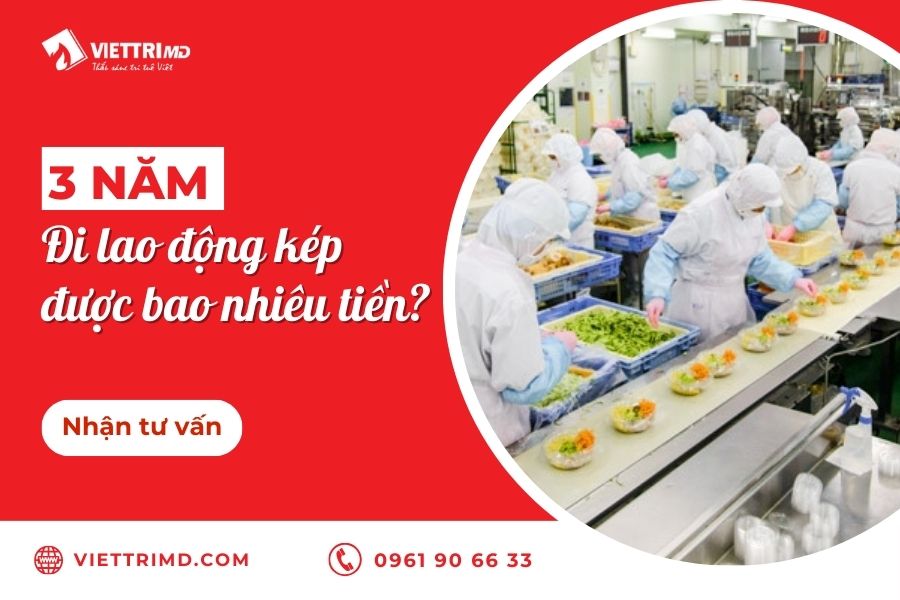 3 năm đi lao động kép Nhật Bản được bao nhiêu tiền
