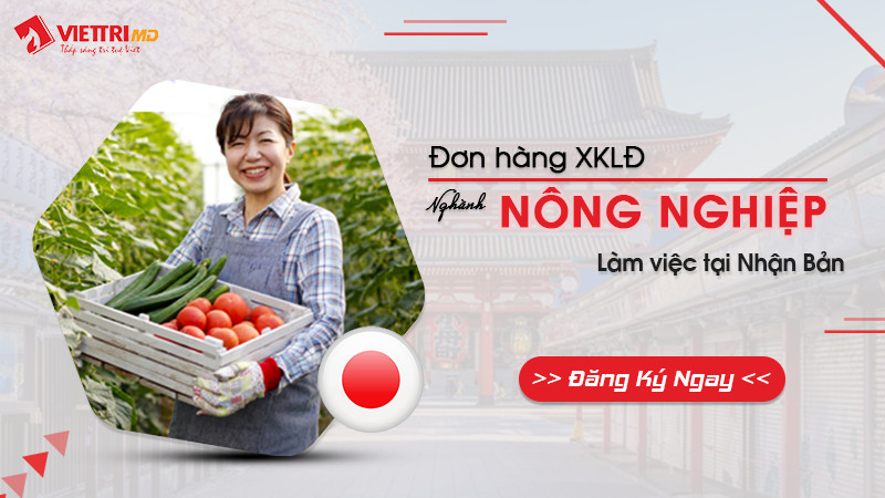 Đơn hàng nông nghiệp