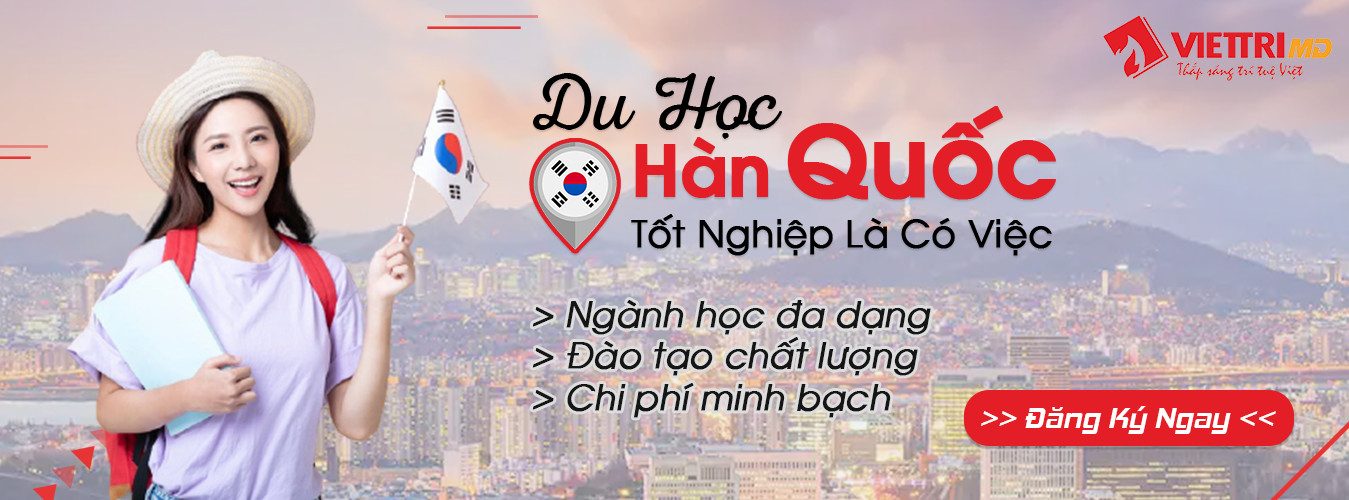 Du học Hàn Quốc – Cơ hội đổi đời hay chỉ là giấc mơ? 5