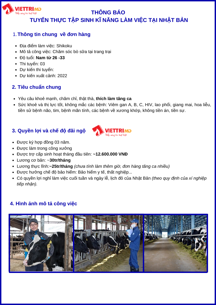 Đơn hàng đi Nhật làm chăm sóc bò sữa