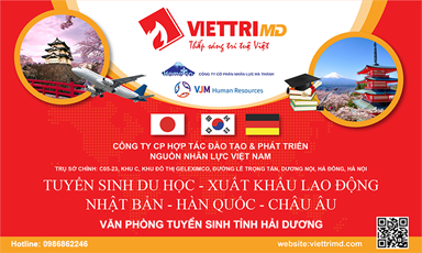Tư vấn du học Nhật Bản uy tín tại Hải Dương - Việt Trí MD