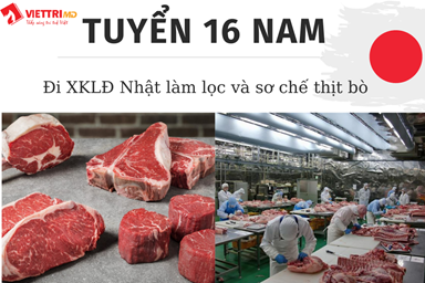 16-nam-di-nhat-lam-loc-va-so-che-thit-bo(1).png