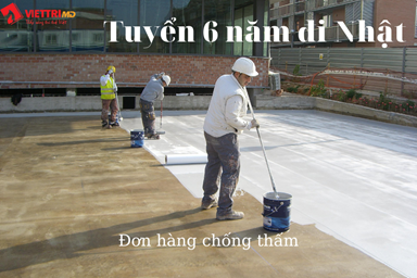 6-nam-di-nhat-don-hang-chong-tham(1).png