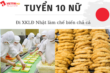 Tuyển 10 Nữ Đi Nhật Làm Chế Biến Chả Cá 2022