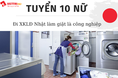 Tuyển 10 Nữ Đi Nhật Làm Giặt Là Công Nghiệp 2022