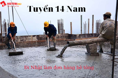 Tuyen-14-nam-di-nhat-don-hang-be-tong(2).png