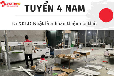Tuyen-4-nam-di-nhat-lam-don-hang-hoan-thien-noi-that(1).png