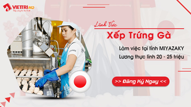 Xep-trung-ga(1).jpg
